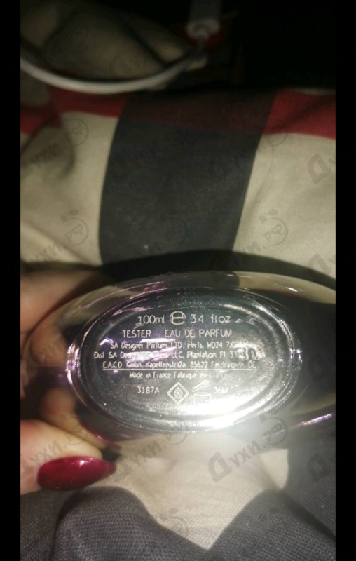 Купить 1881 Reve De Roses от Cerruti