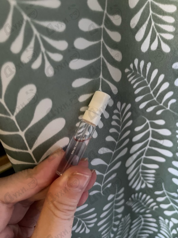 Духи 1881 Reve De Roses от Cerruti