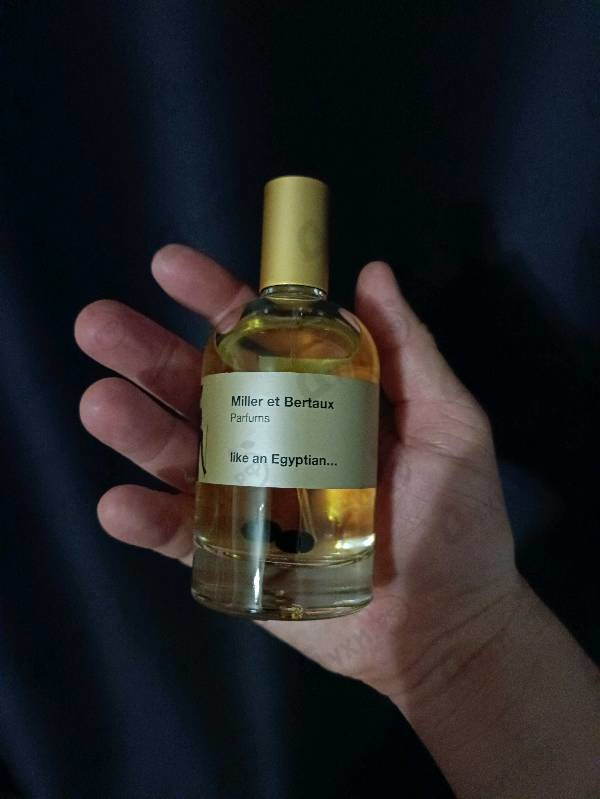 Купить Like An Egyptian... от Miller Et Bertaux