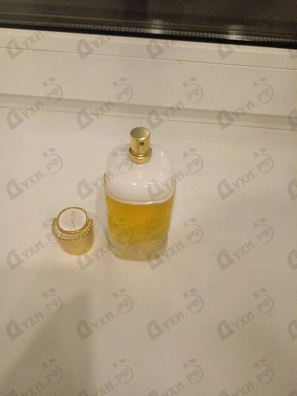 Купить Lattafa Perfumes Ajayeb Dubai Portrait