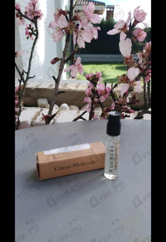 Духи Citrus Molecule от RudRoss