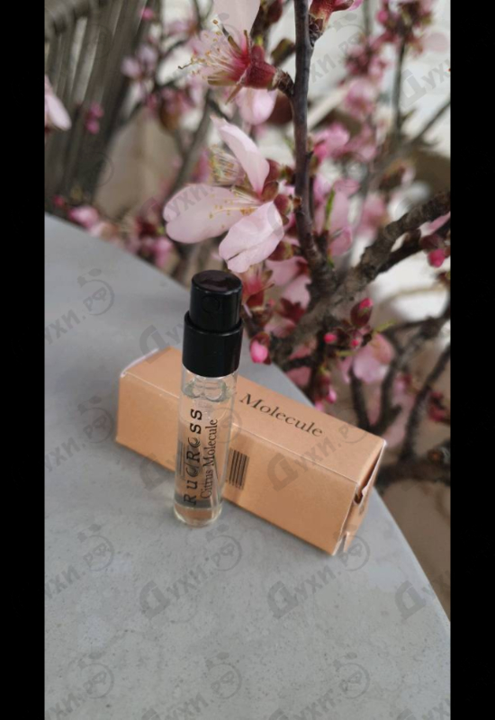 Парфюмерия Citrus Molecule от RudRoss