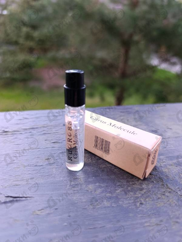 Парфюмерия Citrus Molecule от RudRoss