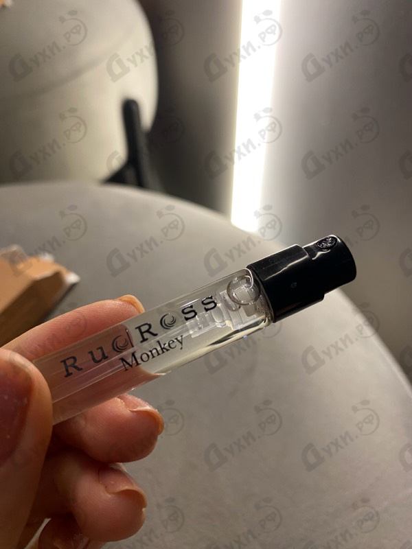 Купить Monkey от RudRoss