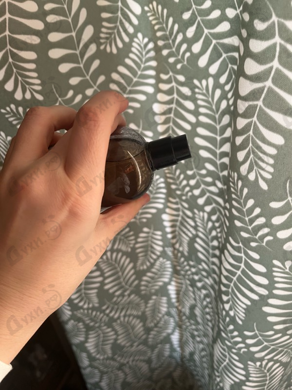 Купить RudRoss Road To Paradise