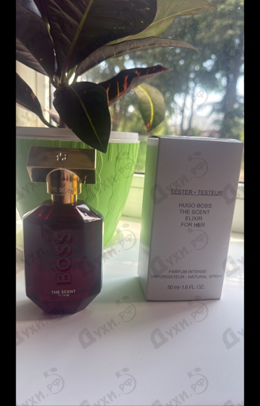Купить The Scent Elixir от Hugo Boss