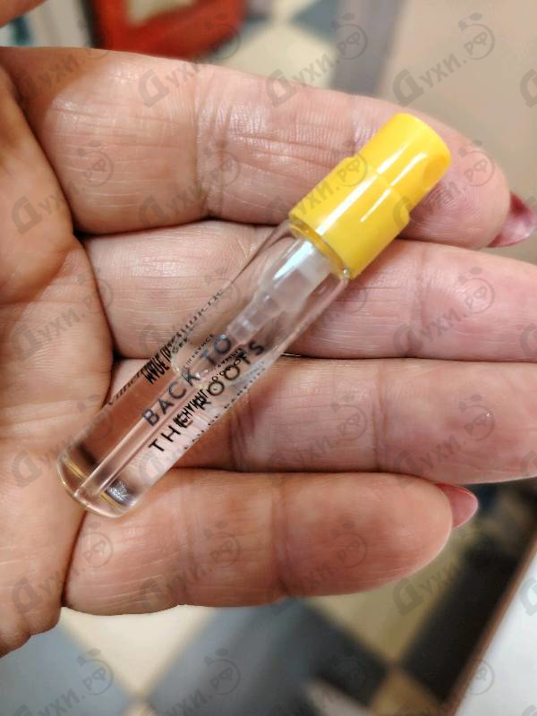 Духи Back To The Roots от Vilhelm Parfumerie