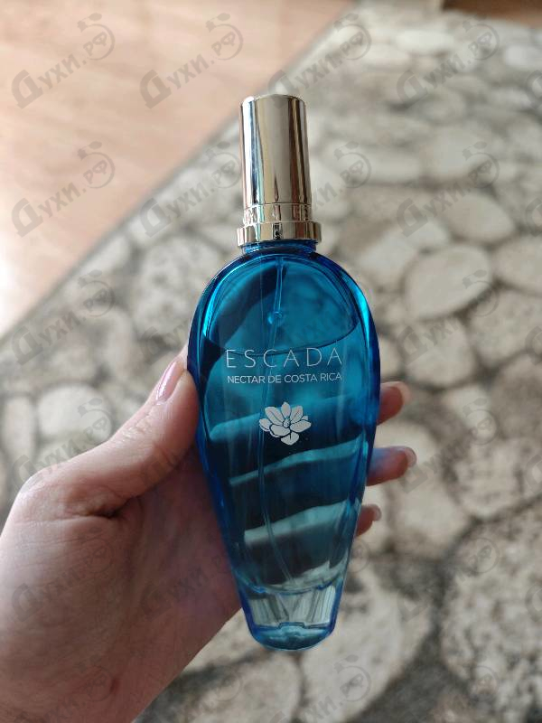 Отзыв Escada Nectar De Costa Rica