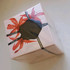 Парфюмерия Viktor & Rolf Flowerbomb Tiger Lily Купить Flowerbomb Tiger Lily от Viktor & Rolf