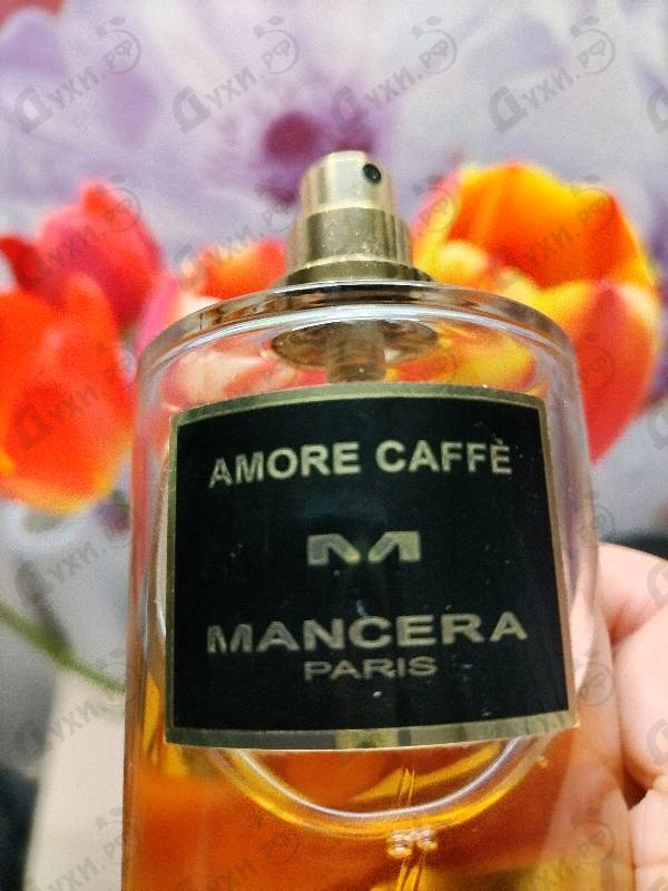 Купить Mancera Amore Caffe