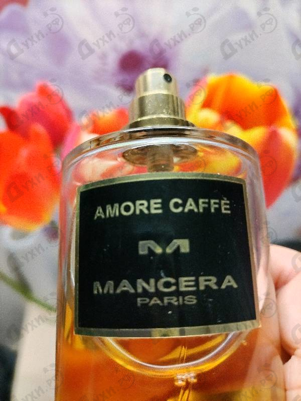 Купить Mancera Amore Caffe