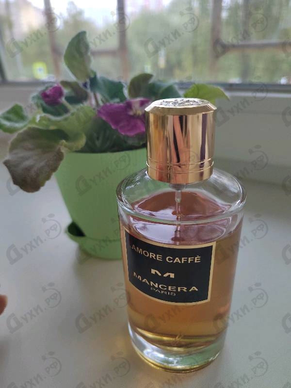 Отзывы Mancera Amore Caffe
