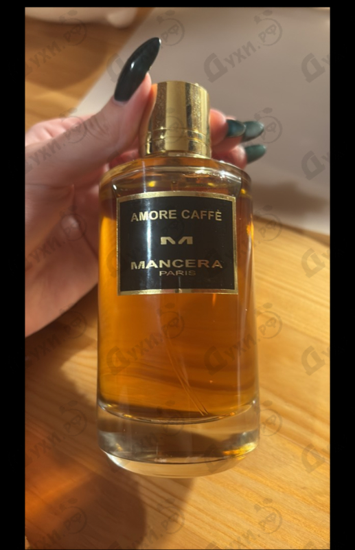 Купить Amore Caffe от Mancera