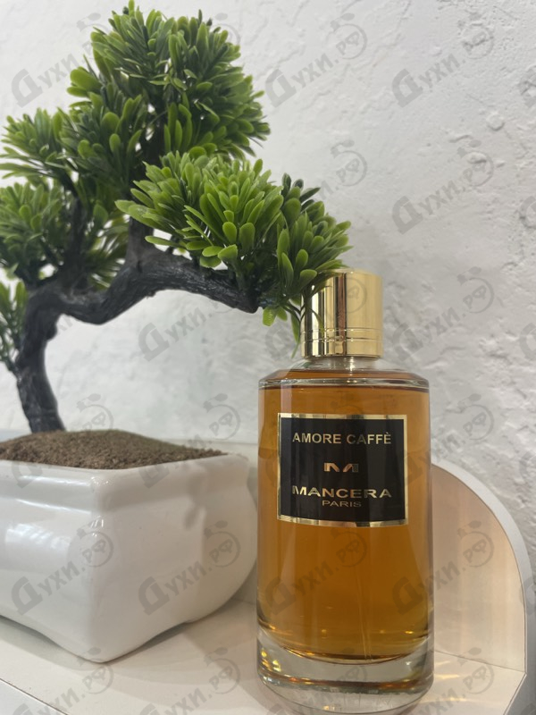Купить Amore Caffe от Mancera