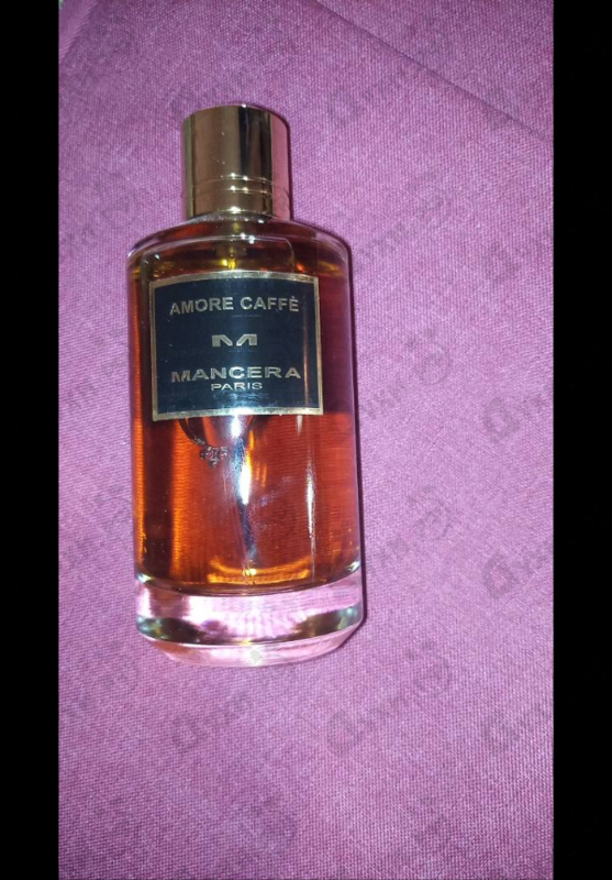 Купить Amore Caffe от Mancera