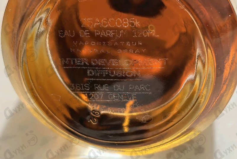 Отзыв Mancera Amore Caffe