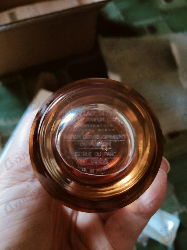 Духи Amore Caffe от Mancera