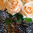 Парфюм Mancera Amore Caffe