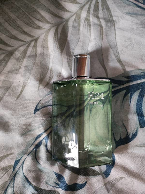 Купить Hermes H24 Herbes Vives