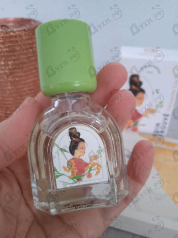 Купить Osmanthe Liu Yuan от Le Jardin Retrouve