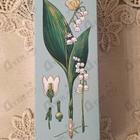 Парфюм Brocard Ароматы Природы Ландыш и Кукушкин Клевер