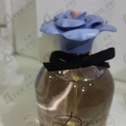 Духи Dolce Blue Jasmine от Dolce & Gabbana