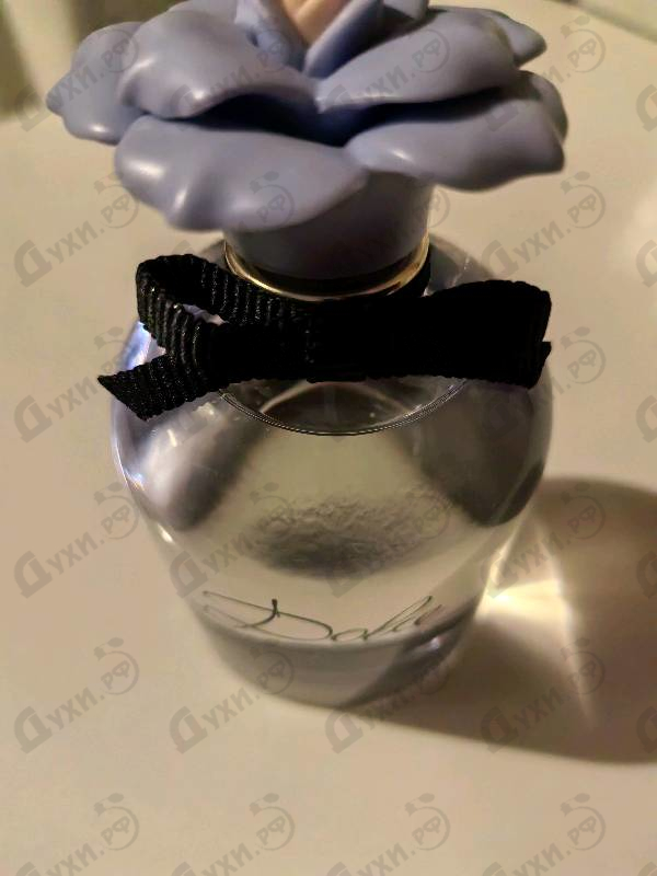 Отзыв Dolce & Gabbana Dolce Blue Jasmine