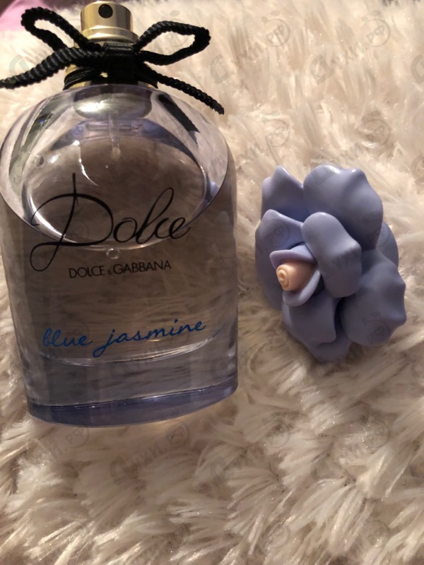 Отзыв Dolce & Gabbana Dolce Blue Jasmine
