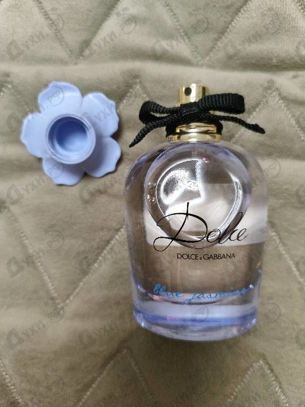Купить Dolce & Gabbana Dolce Blue Jasmine