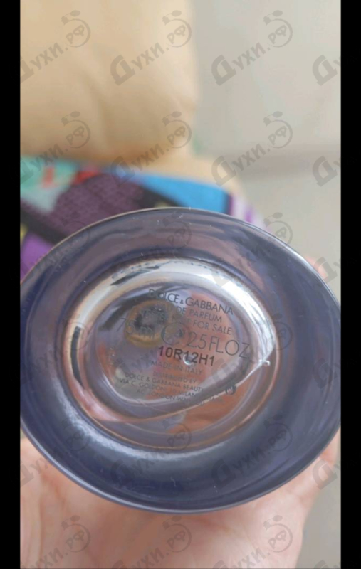 Купить Dolce Blue Jasmine от Dolce & Gabbana