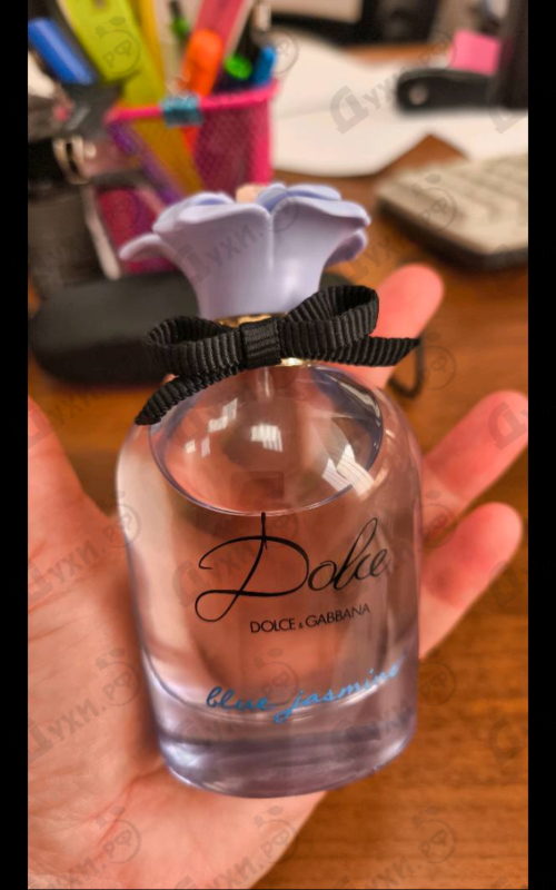 Духи Dolce Blue Jasmine от Dolce & Gabbana