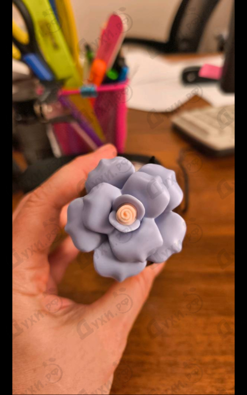 Духи Dolce Blue Jasmine от Dolce & Gabbana