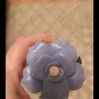 Парфюм Dolce & Gabbana Dolce Blue Jasmine