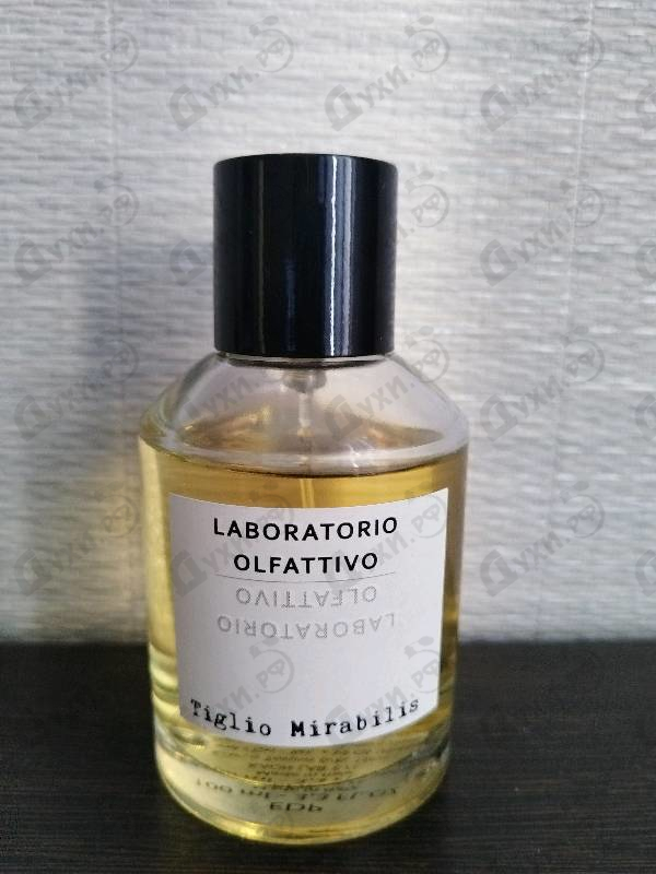 Парфюмерия Tiglio Mirabilis от Laboratorio Olfattivo