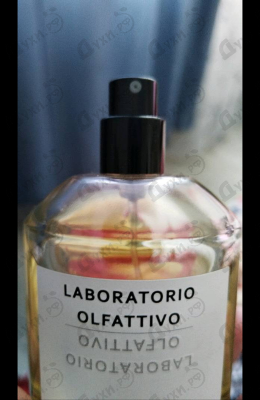 Купить Tiglio Mirabilis от Laboratorio Olfattivo