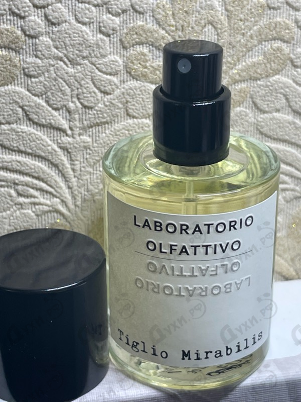 Купить Tiglio Mirabilis от Laboratorio Olfattivo