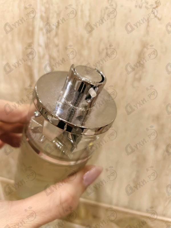 Купить Ajmal Shadow Ice