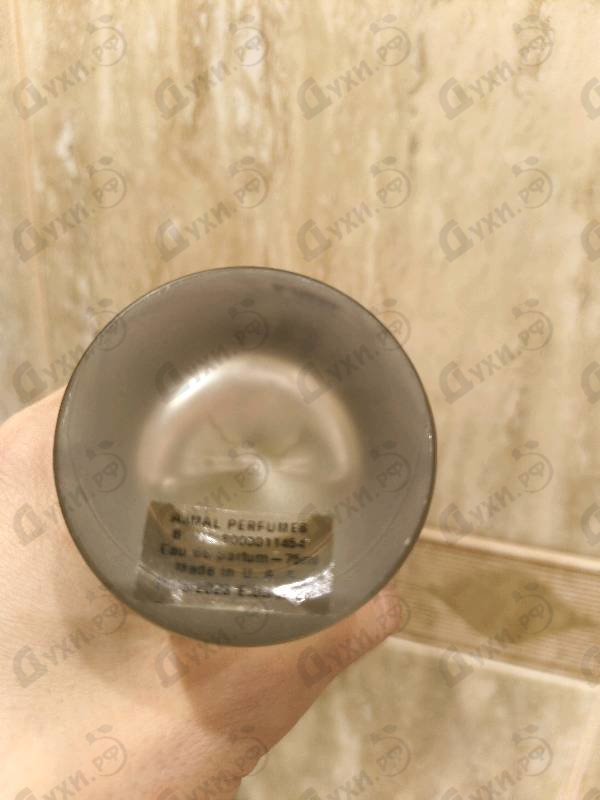 Парфюмерия Shadow Ice от Ajmal