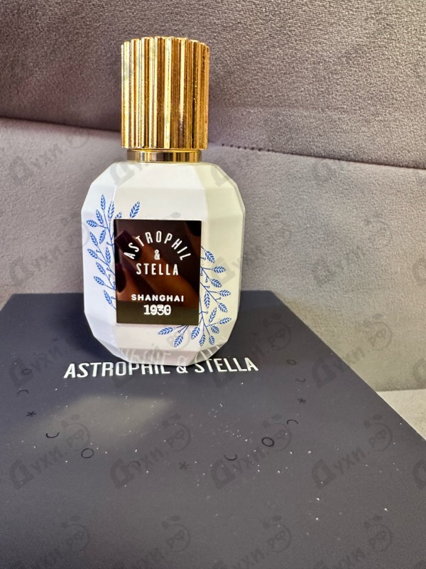 Отзывы Astrophil & Stella Shanghai 1930