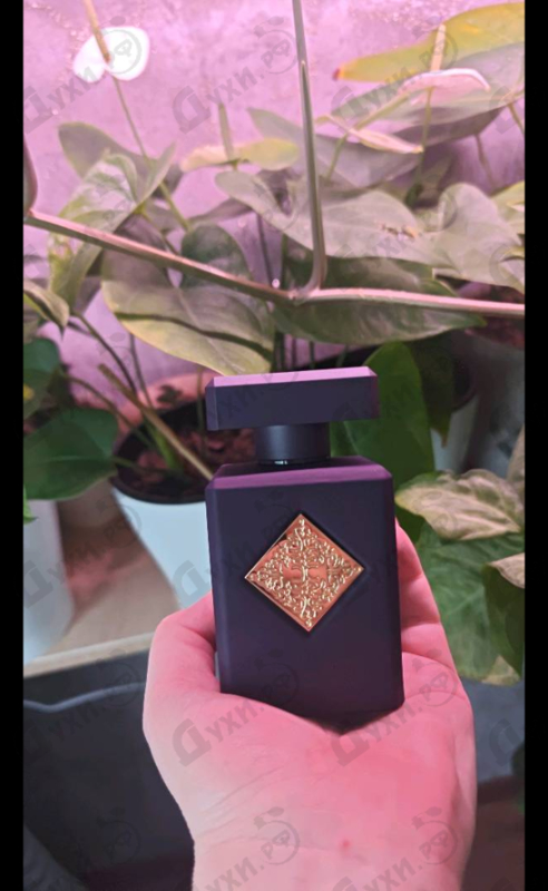 Парфюмерия Narcotic Delight от Initio