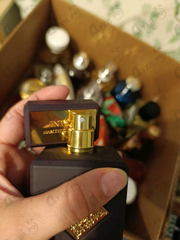 Купить Narcotic Delight от Initio