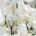 Отзыв Kilian Sunkissed Goddess