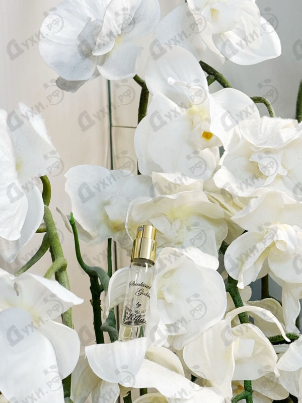 Парфюмерия Kilian Sunkissed Goddess