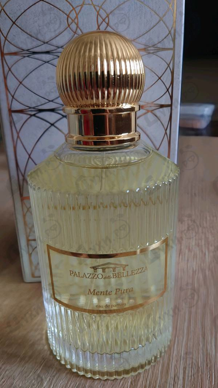 Купить Palazzo Della Bellezza Mente Pura