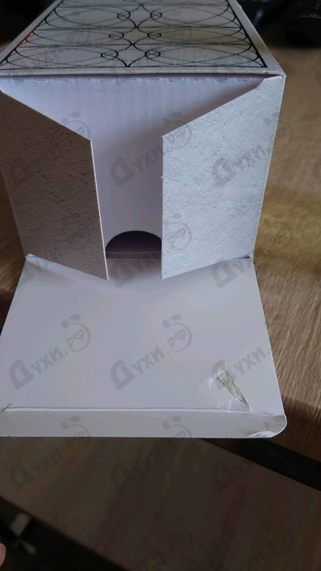 Отзыв Palazzo Della Bellezza Mente Pura