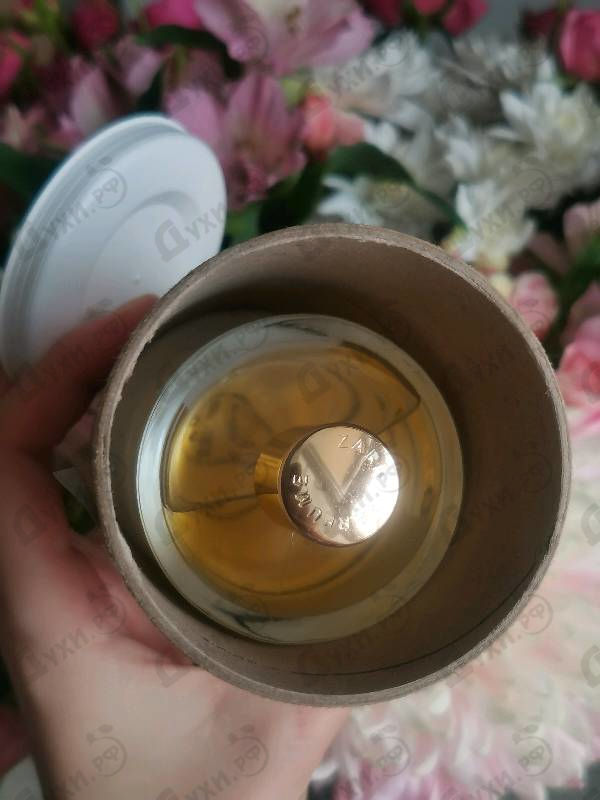 Купить Sending Love от Zarkoperfume