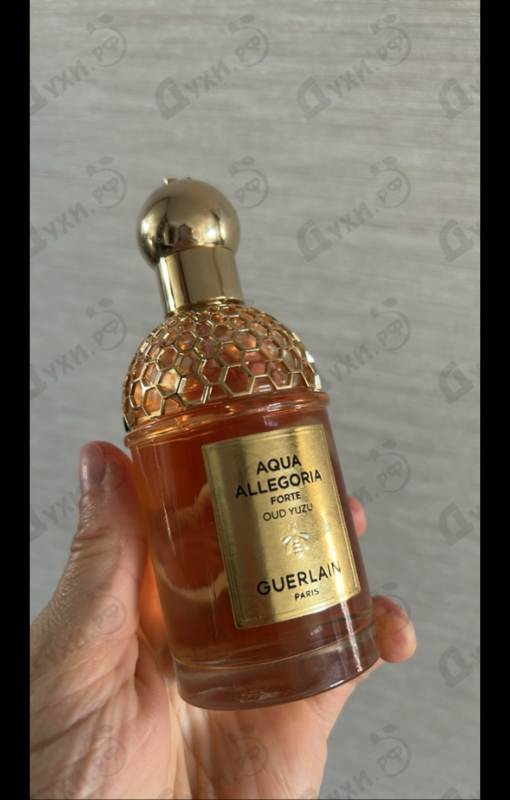 Духи Aqua Allegoria Forte Oud Yuzu от Guerlain