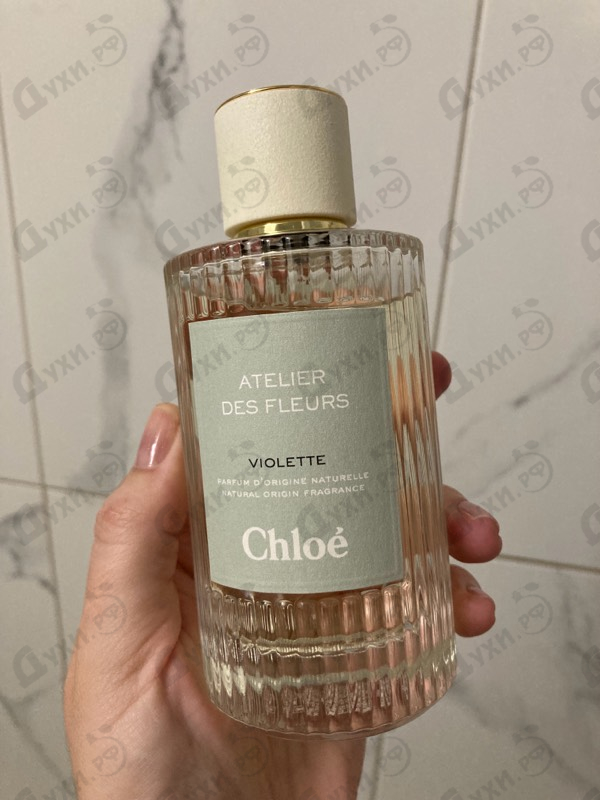 Купить Violette от Chloe