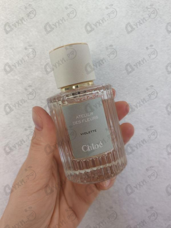 Парфюмерия Chloe Violette