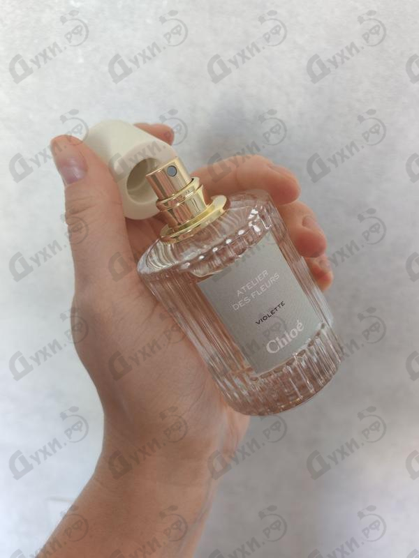 Купить Violette от Chloe